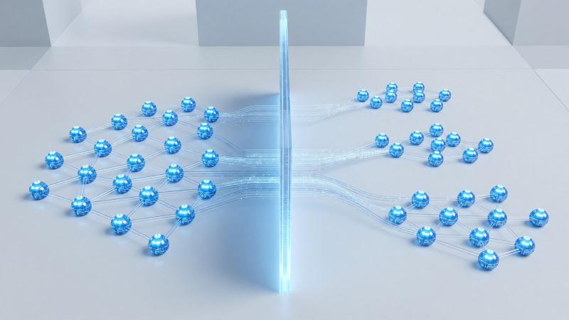 Firewall și segmentarea rețelei: prima linie de apărare